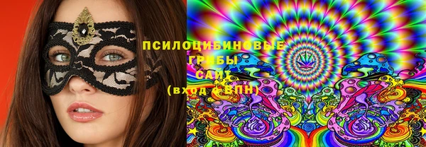 крисы Алексеевка
