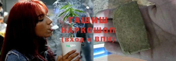 сатива Алзамай