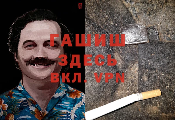 сатива Алзамай