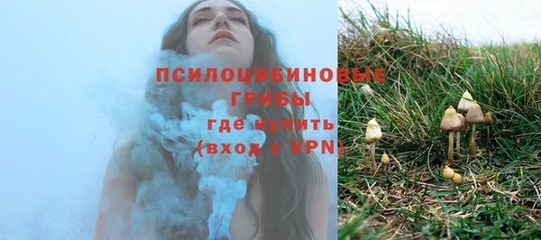 сатива Алзамай