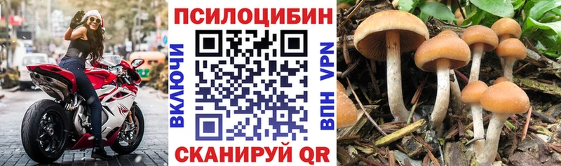 Псилоцибиновые грибы MAGIC MUSHROOMS  ссылка на мегу   Чебаркуль 